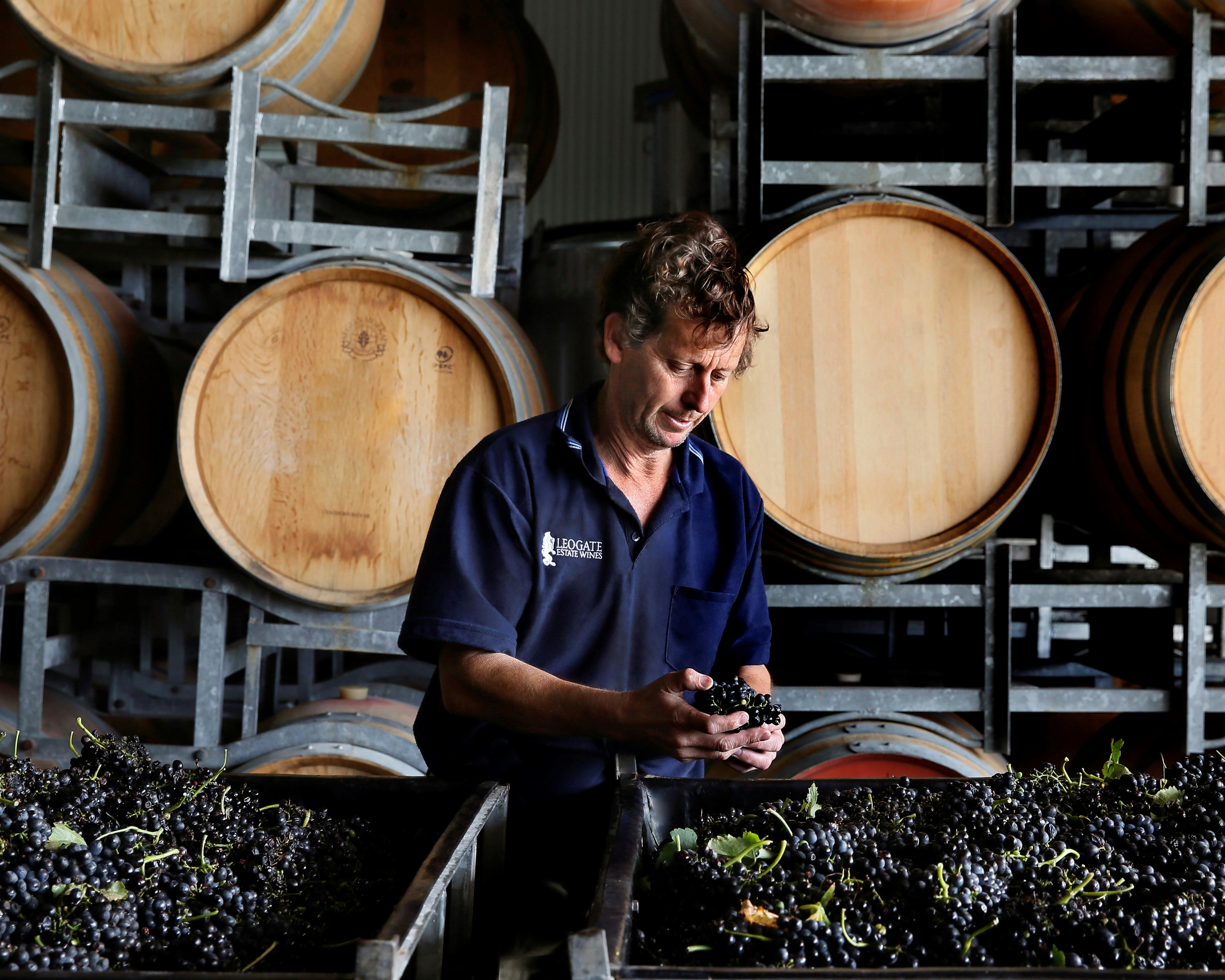 Senior Winemaker