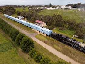 A long train with 8 carriages and a steam locomotive in front of a winery