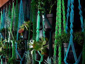 Macrame Plant Hanger Workshop
