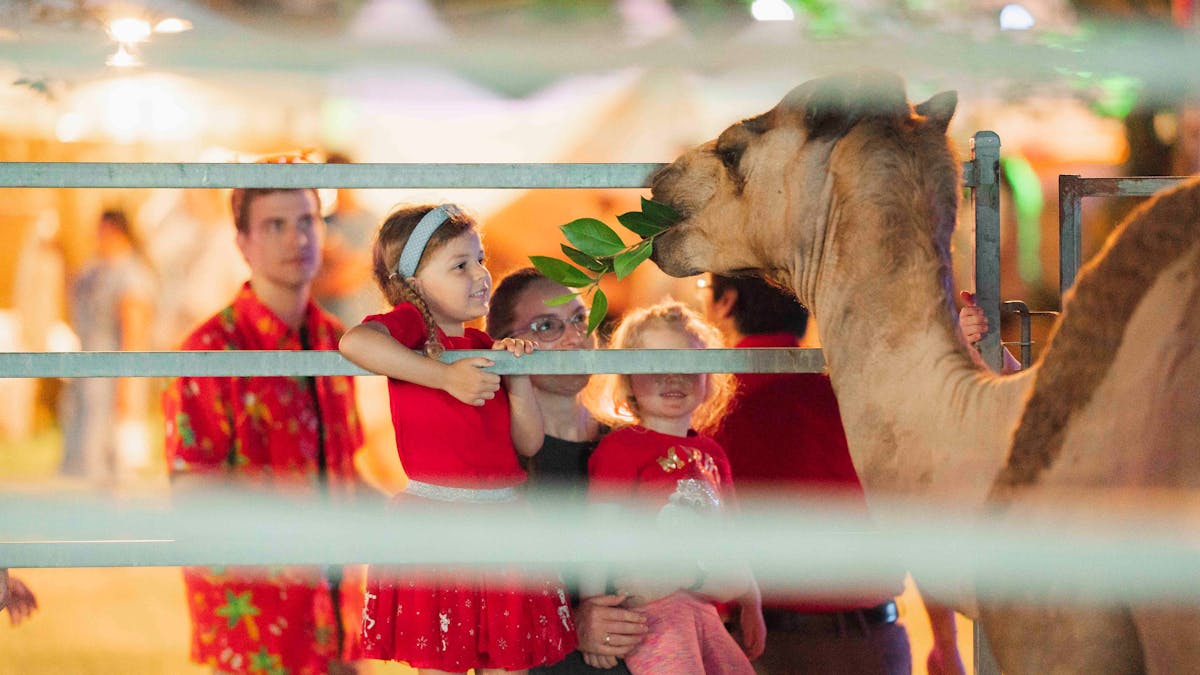 Camel