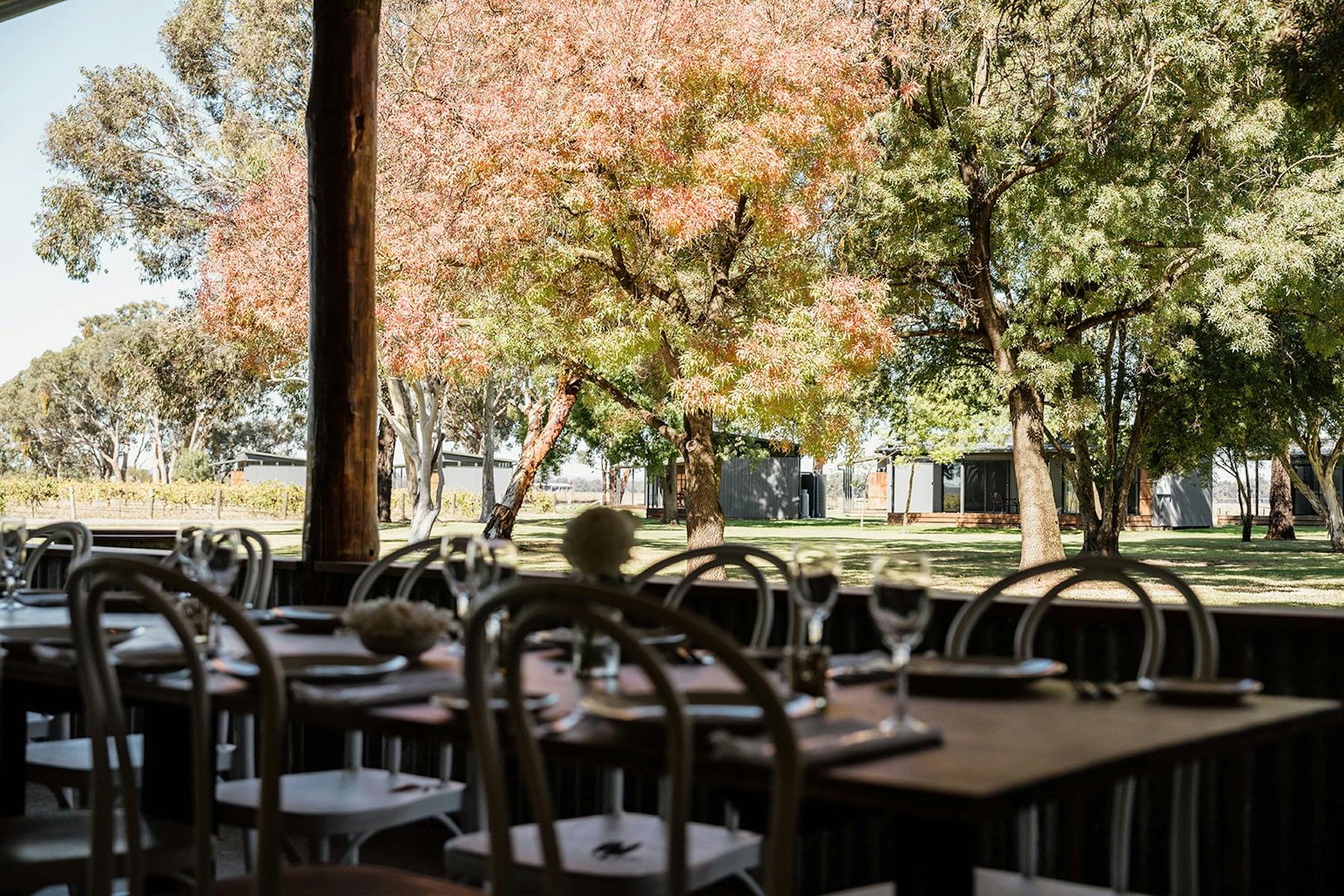 A view from inside the restaurant towards the accommodation, with trees in the foreground.