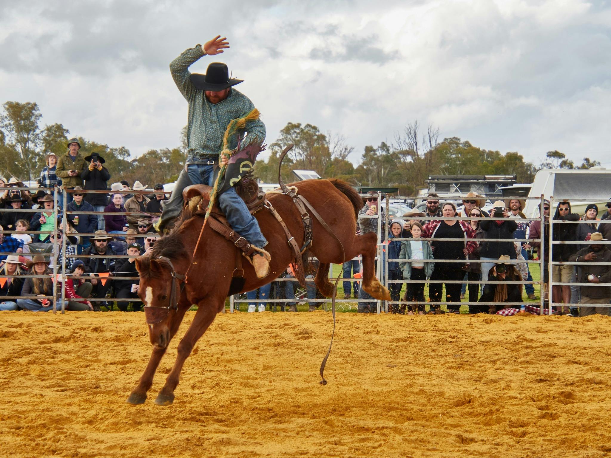 Wyalkatchem Rodeo and Music - Wyalkatchem Community Diary 5510002