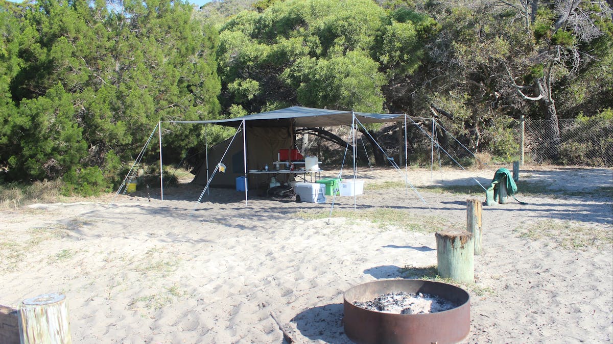 Beachfront camping at Waddy Point Fraser Island