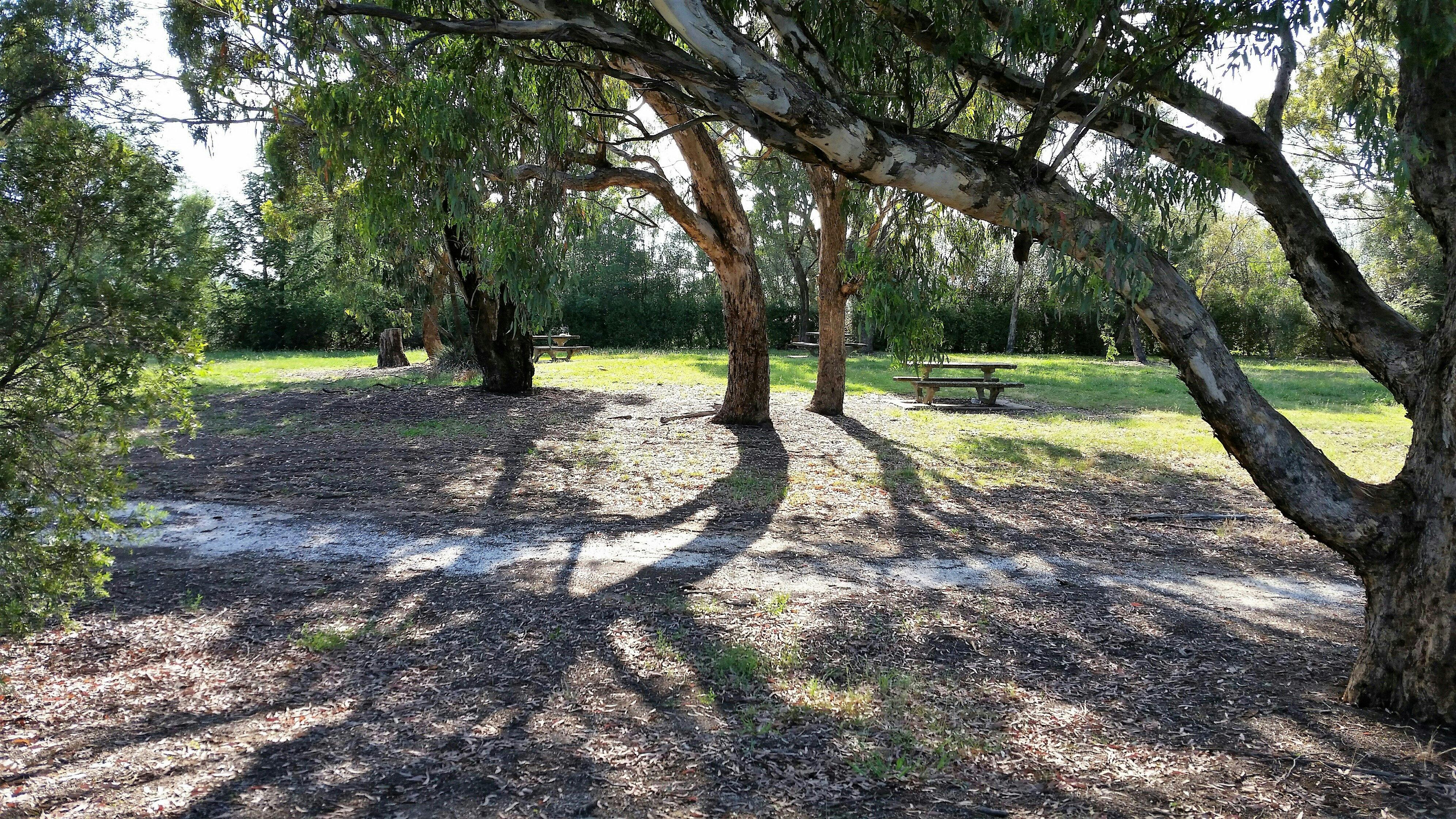 Mt Lindsay Parklands