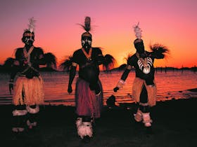 Local Dancers, Far North Queensland