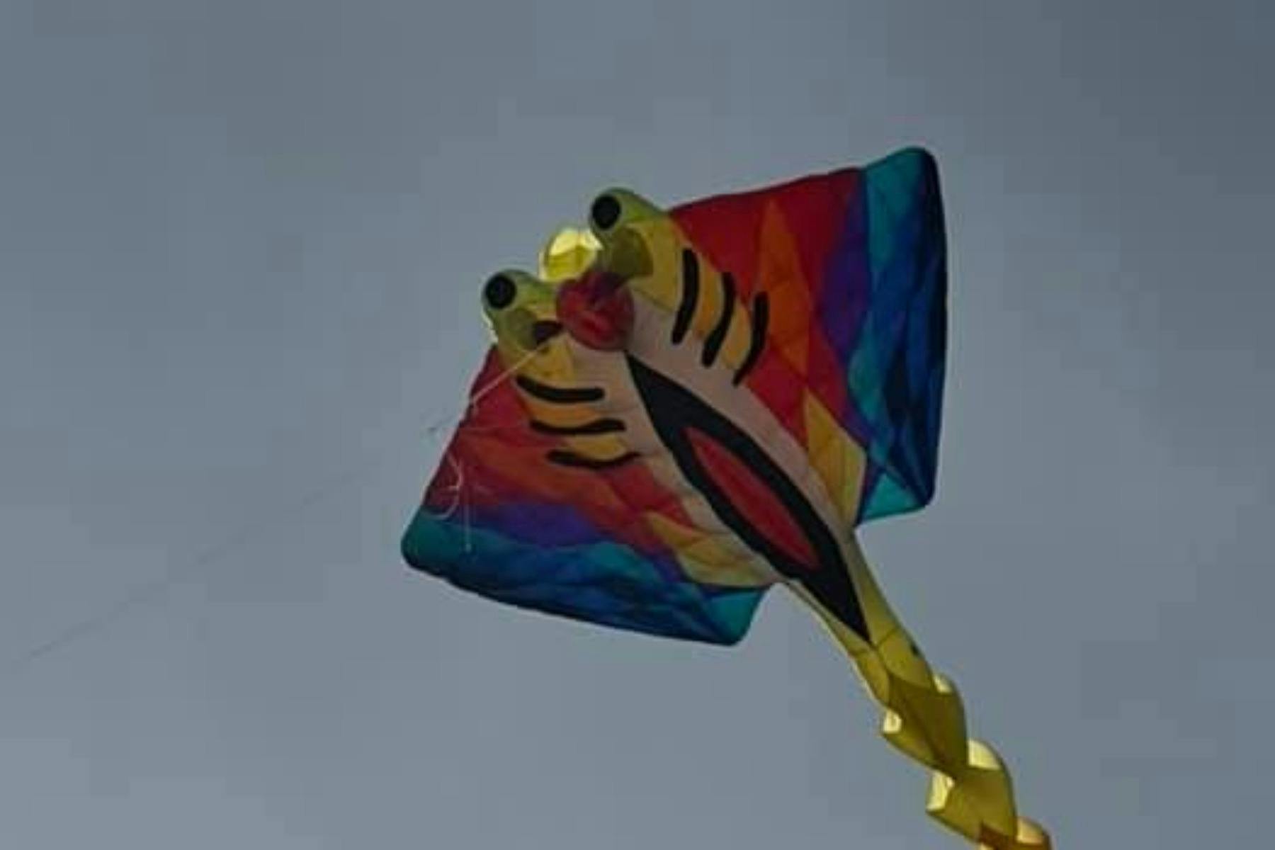 A ray kite flying
