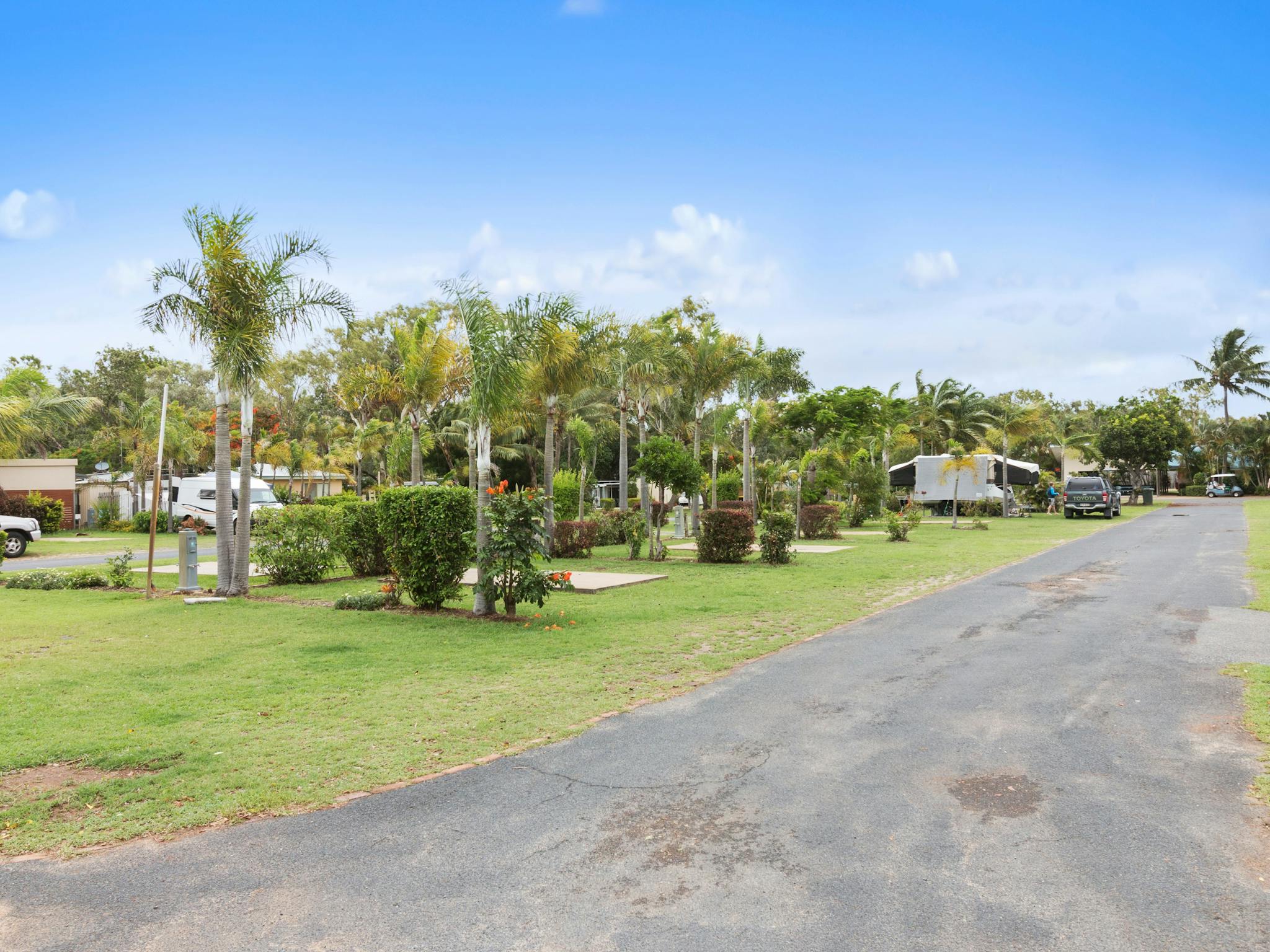 Site Site