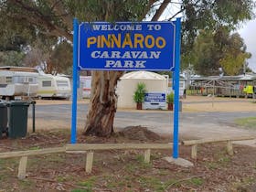 Pinnaroo Caravan Park
