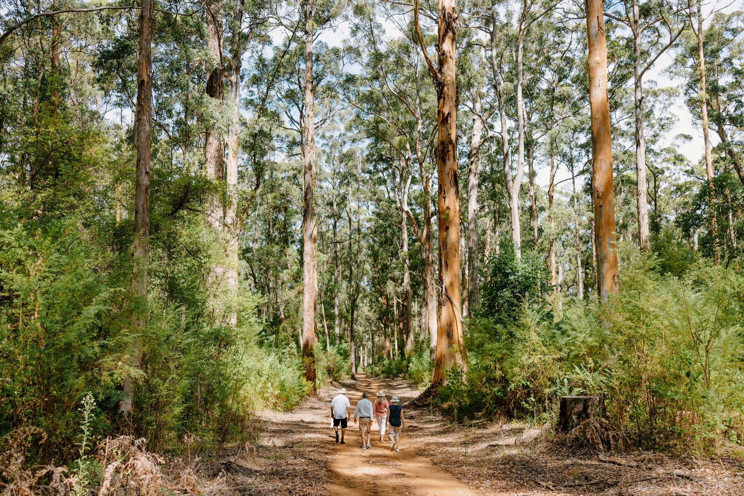 The Beach & Forest Eco Adventure with Pemberton Discovery Tours