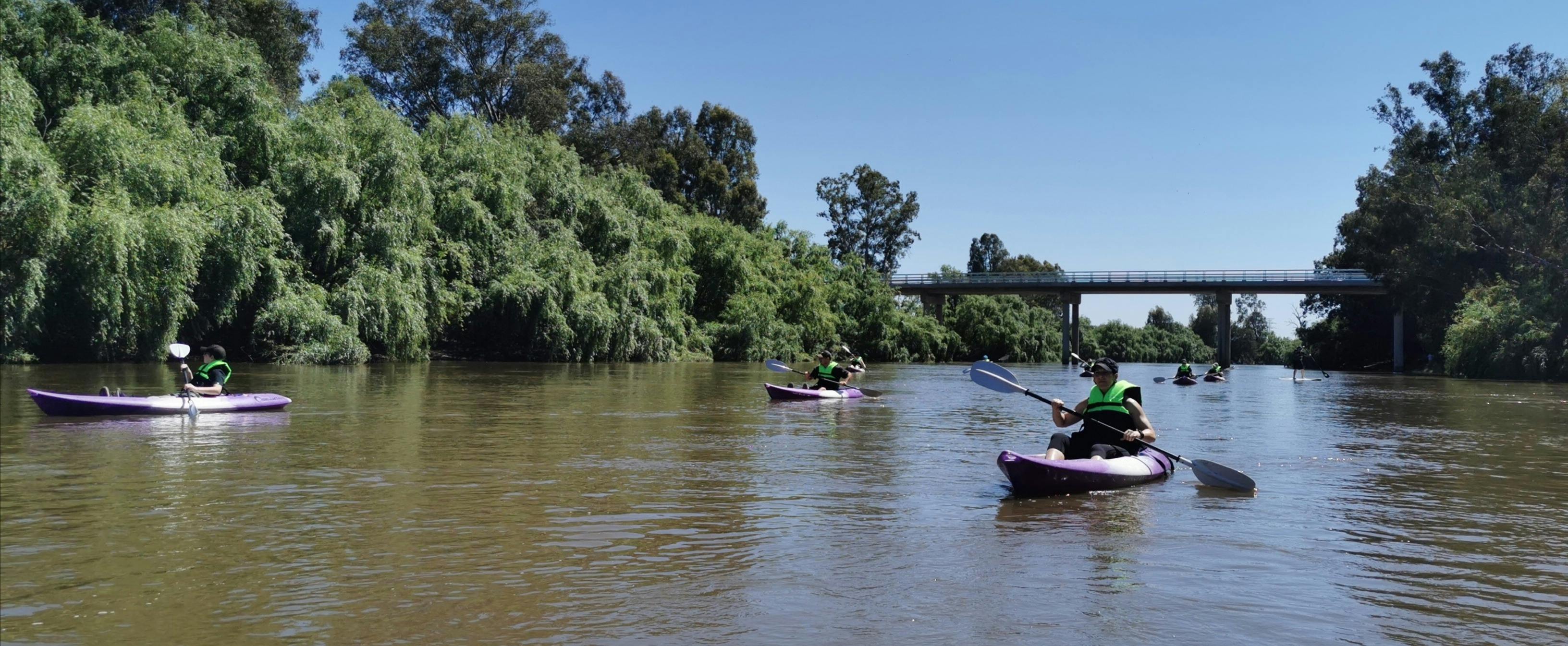 Paddling by one on Wagga's many bridges on the Murrumbidgee River.