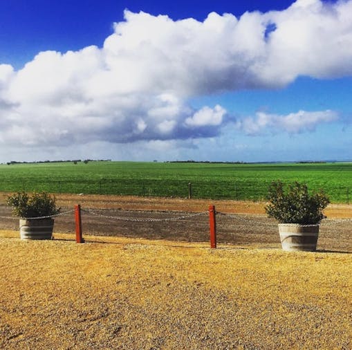 Yorke Peninsula Tasting Extravaganza