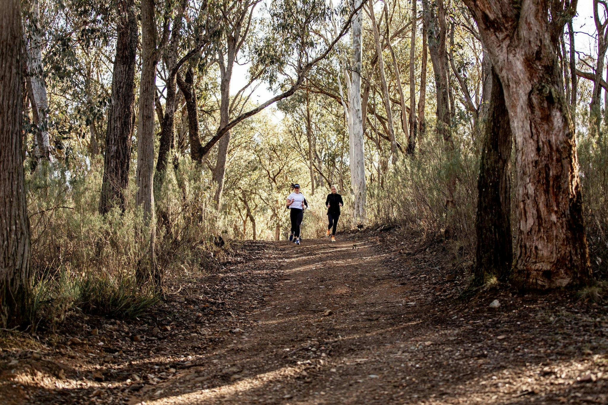 Run Upper Murray