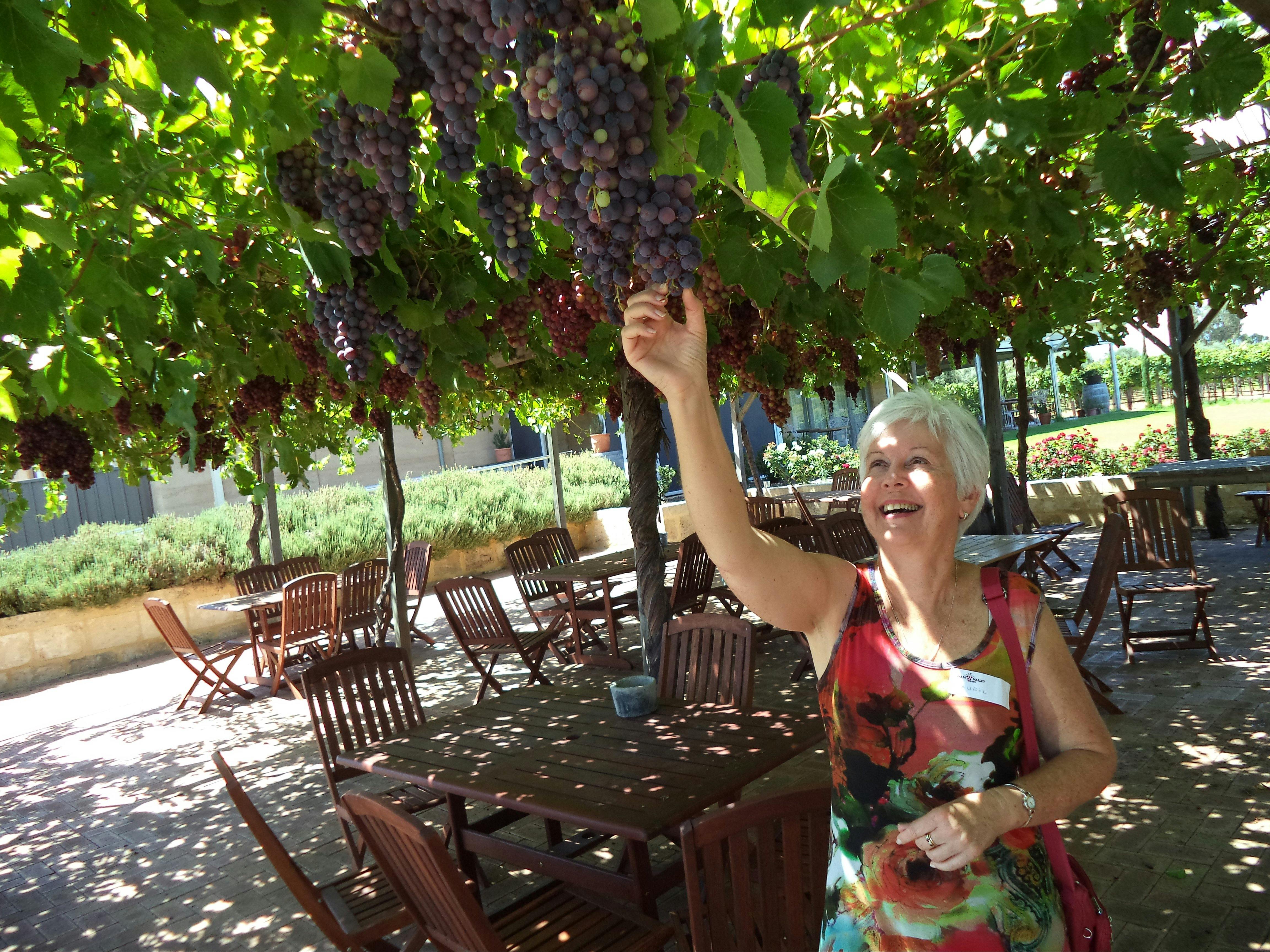 Swan Valley Tours, Perth, Western Australia