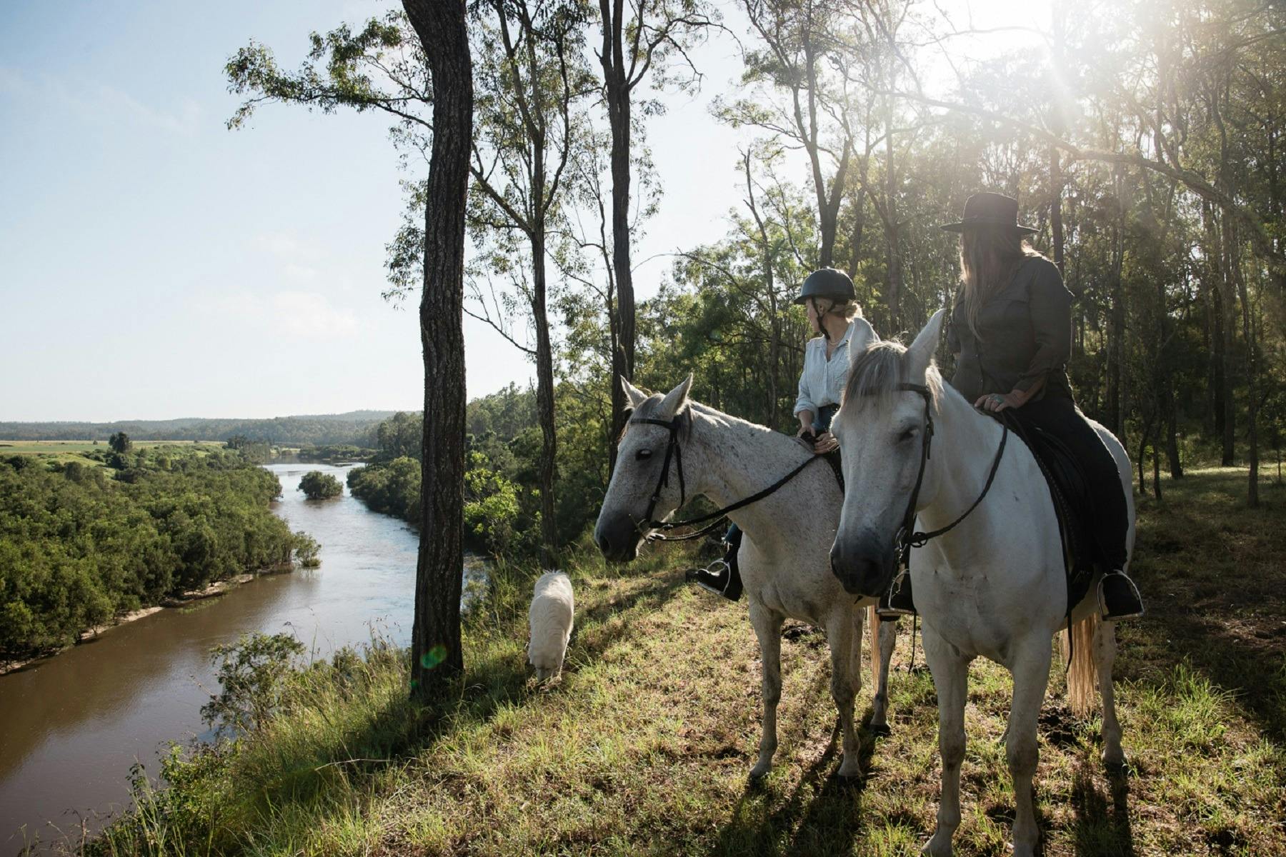 ザ ランチ オン クラレンス: 乗馬と馬に関する体験
