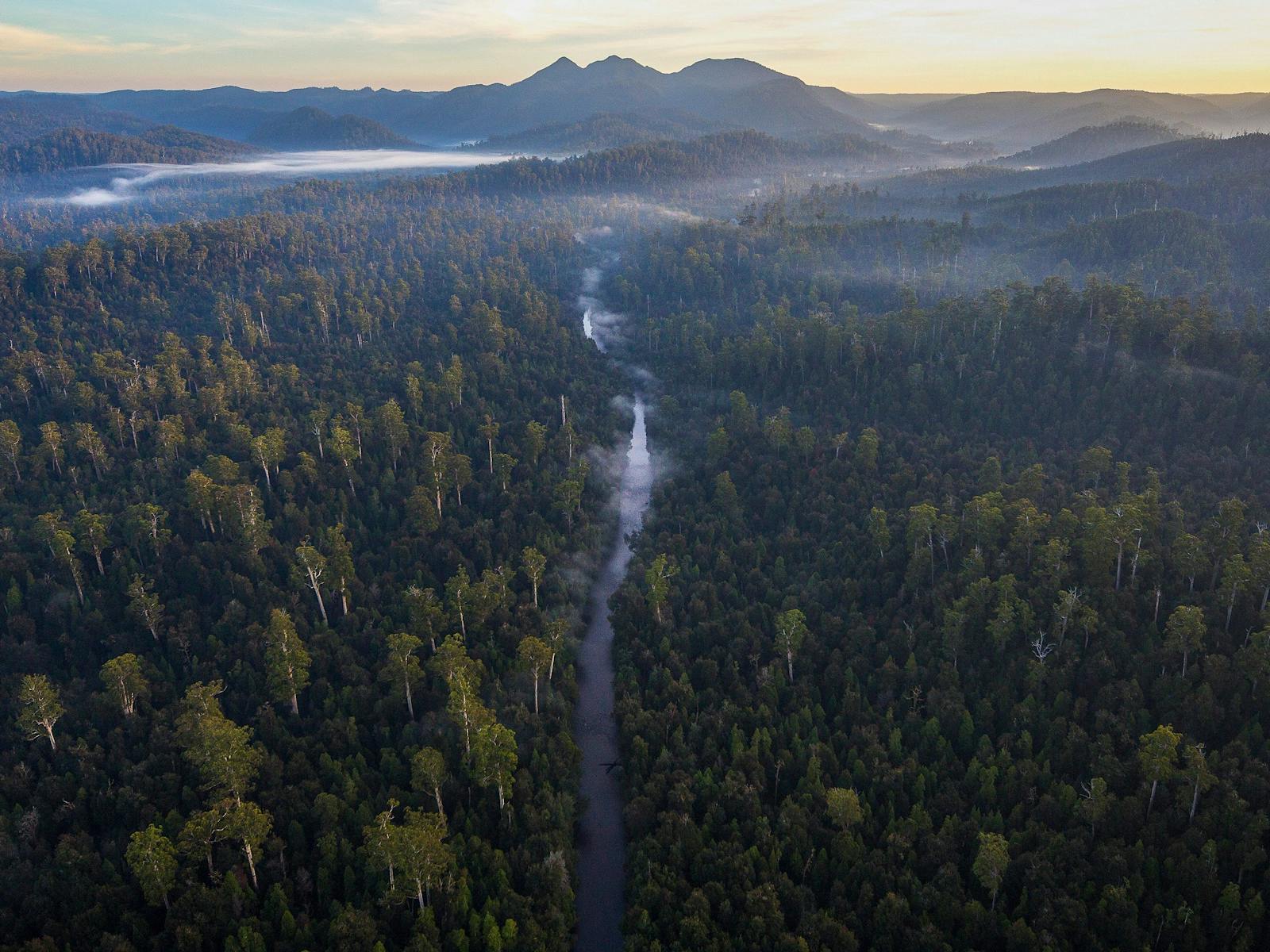 Tarkine Trails