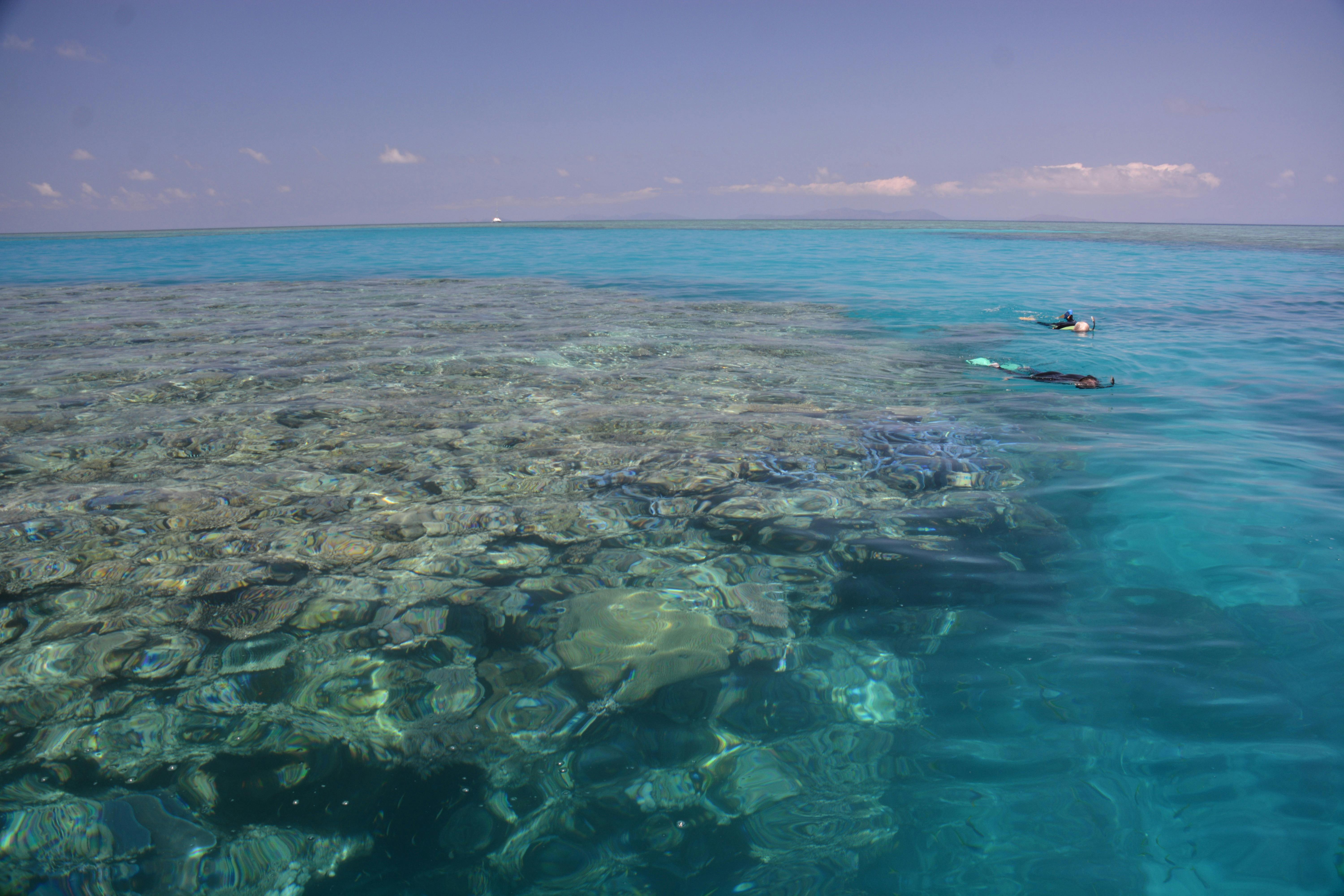 Spectacular Snorkelling and Scuba