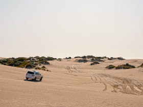 Tour vehicle on tour throughout Beachport Conservation Park, with endless sand hills.