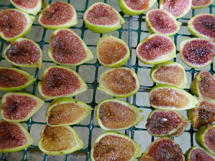 Organic figs being dried