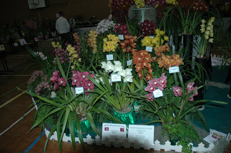 Image of the event 'National Orchid Extravaganza'
