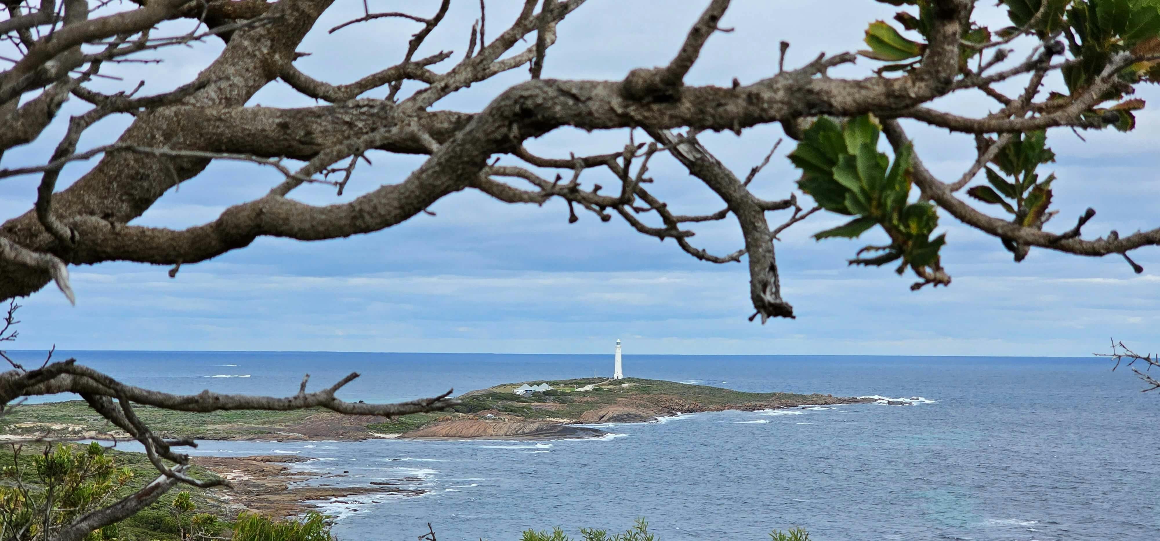 Through tree branches you can see a lighthouse in the distance on an island in the ocean