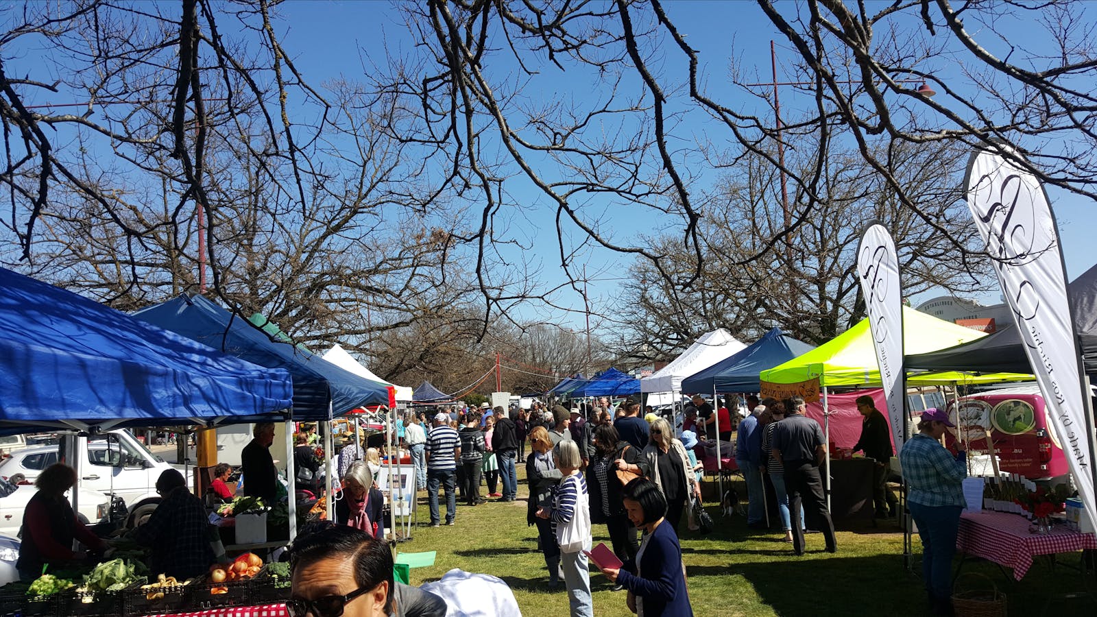 Mansfield Farmers' Market