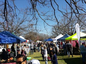 Mansfield Farmers' Market