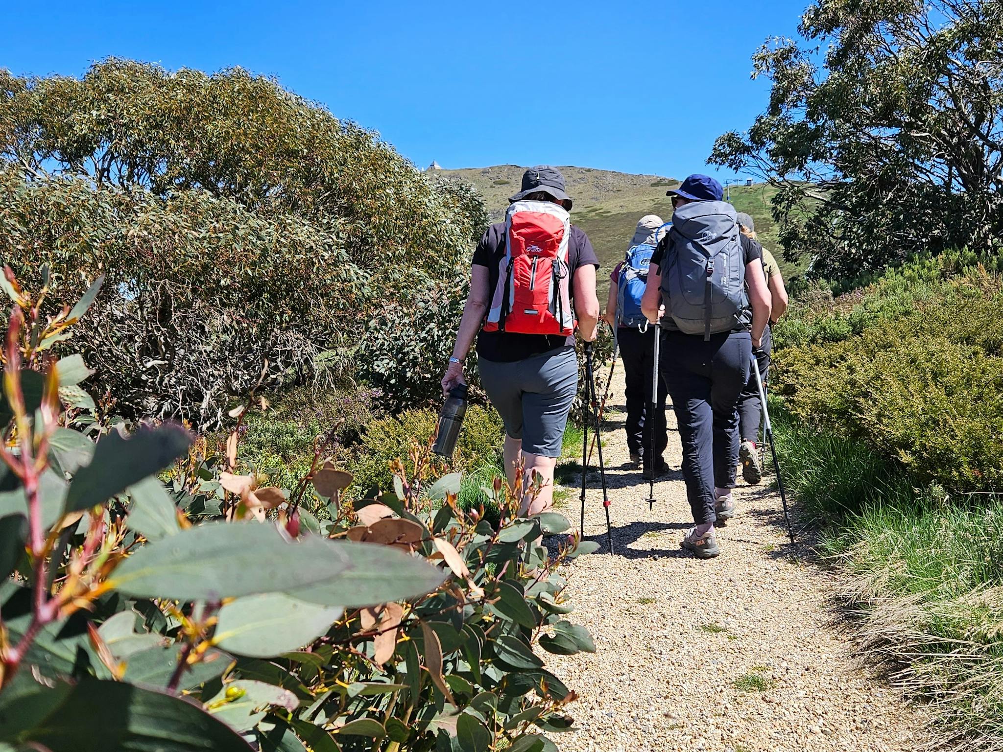 Hiking along the Nature Trail at Mt Buller.