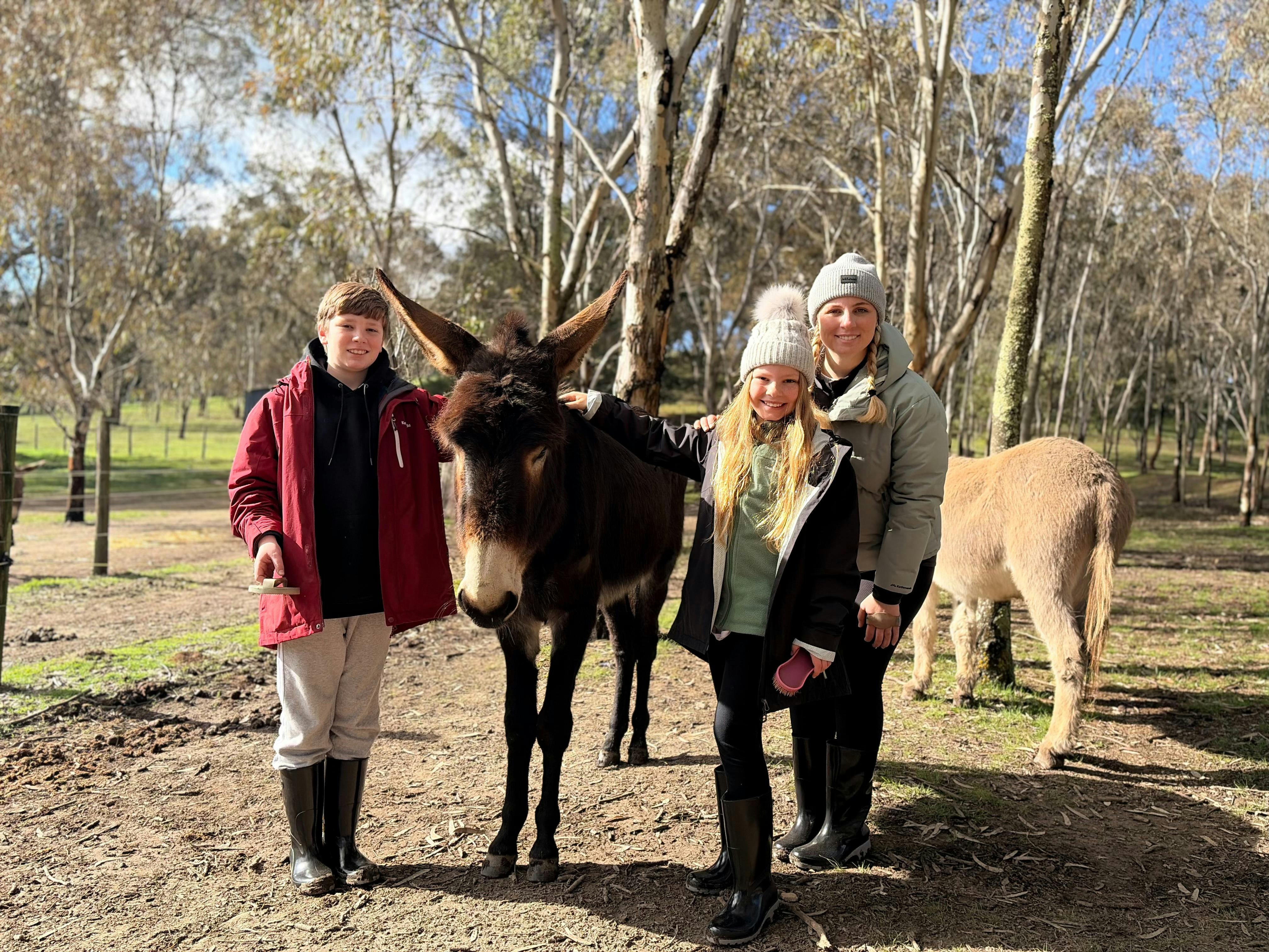 Donkey Discovery