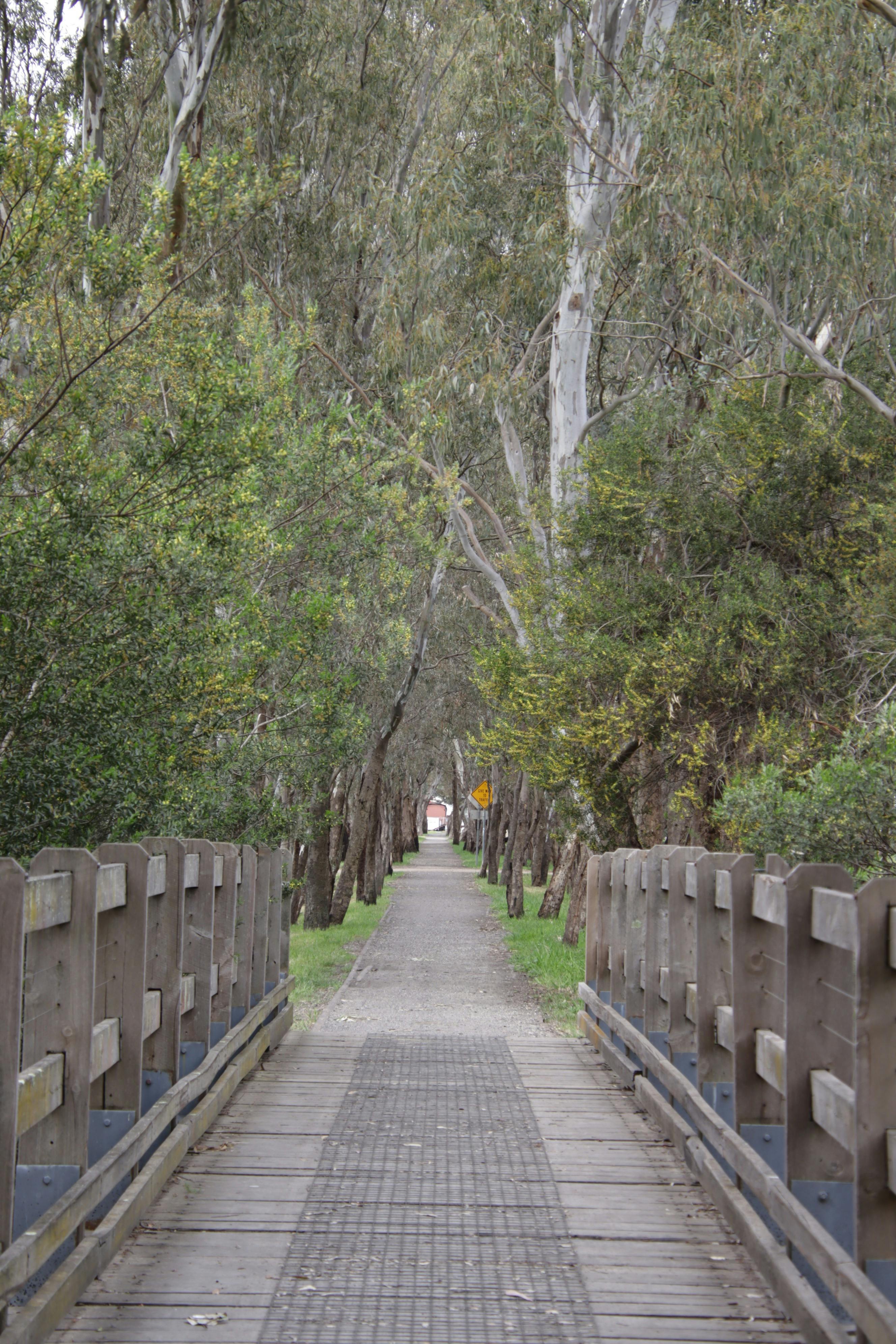 Bridge across a small drainage system alsong walk