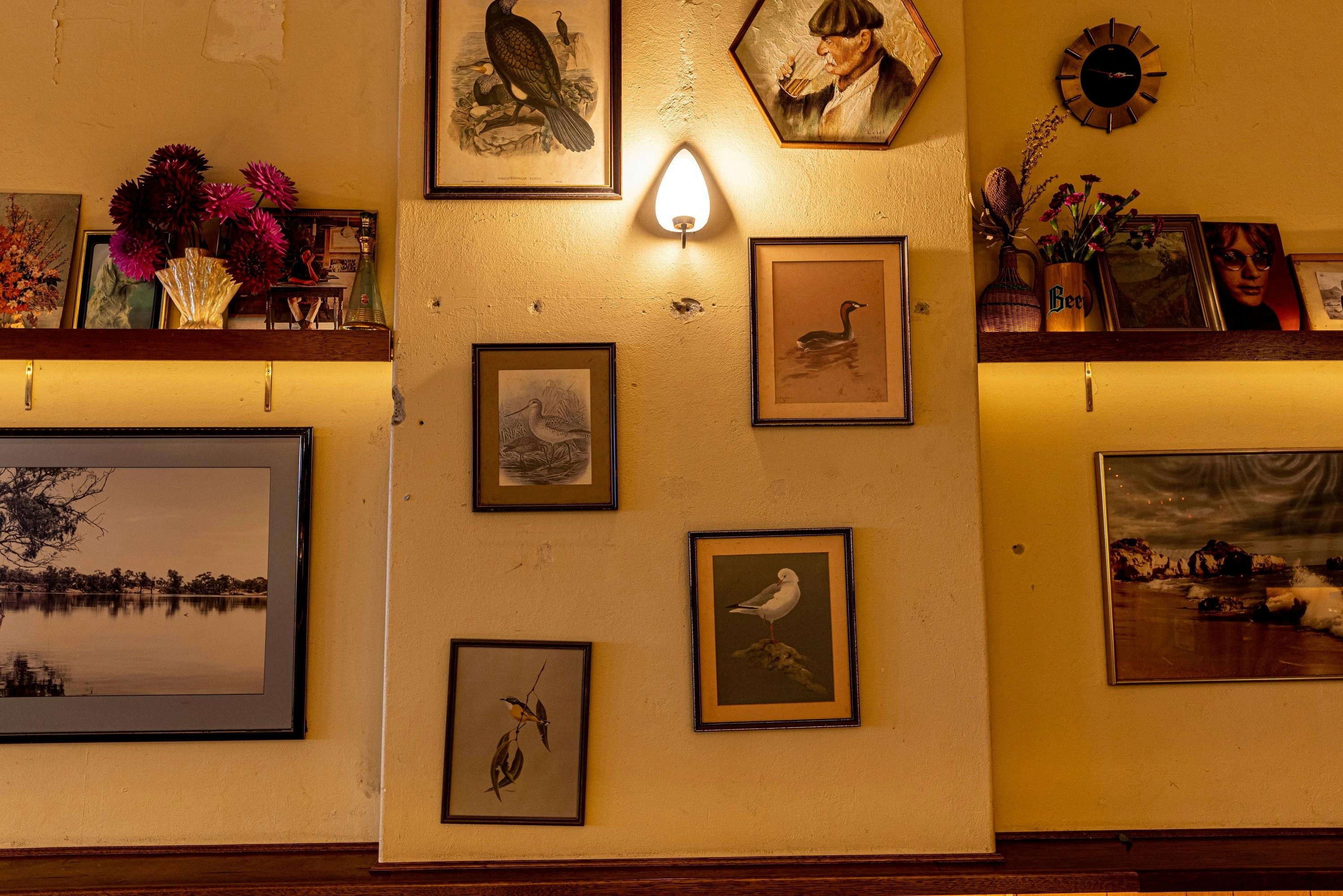 The Marrickville Hotel Birds