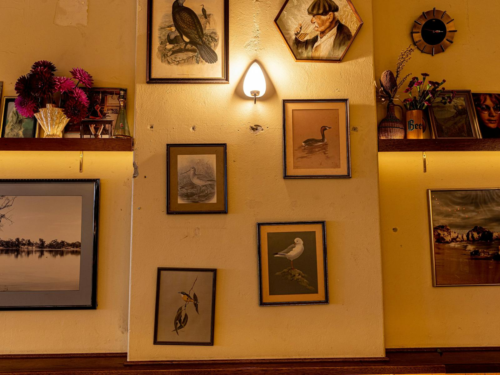 The Marrickville Hotel Birds