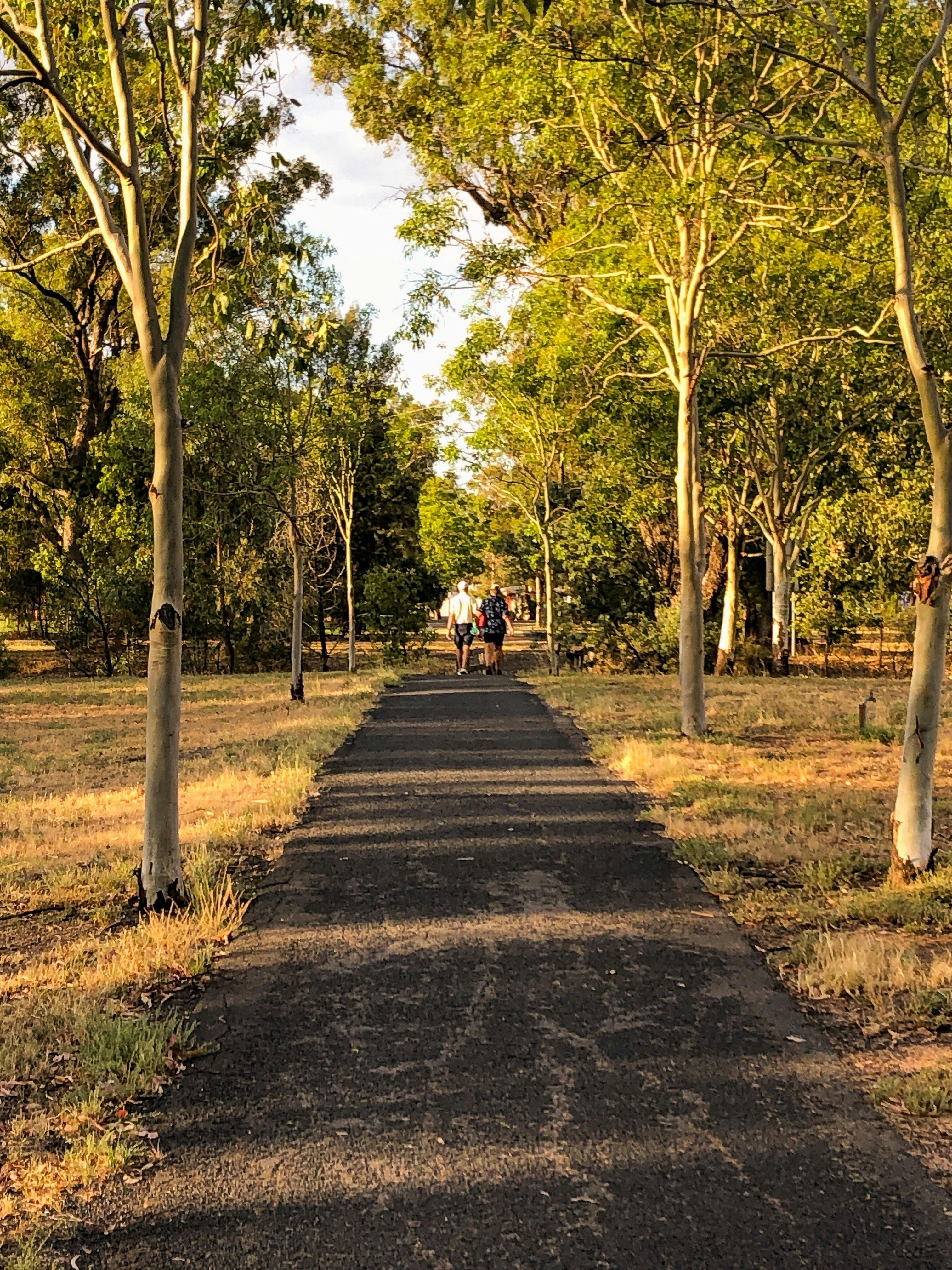 Windmill Walk Gilgandra