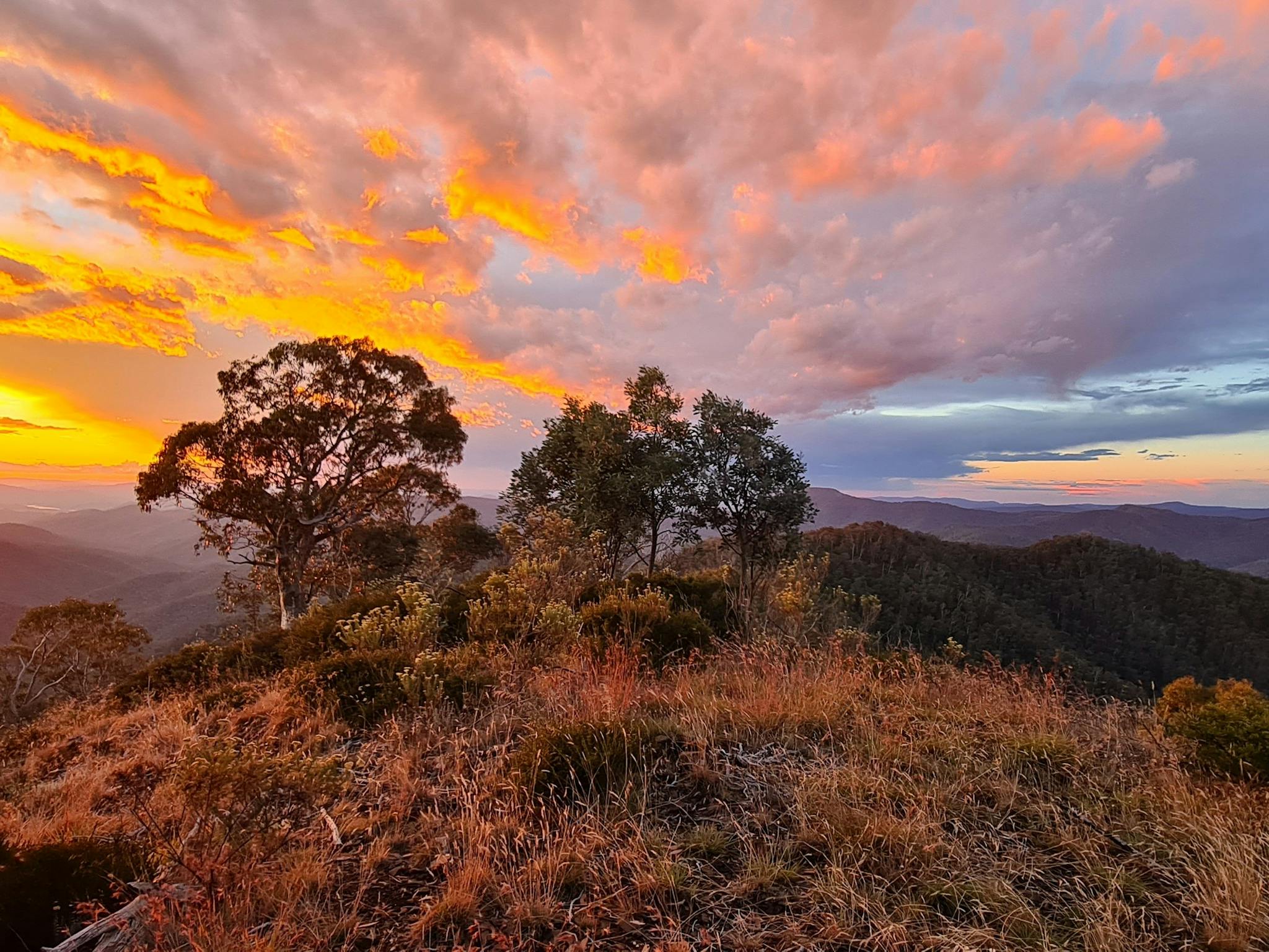 From Eagles Peaks, beautiful yellow and orange sunset colours spread across the sky.