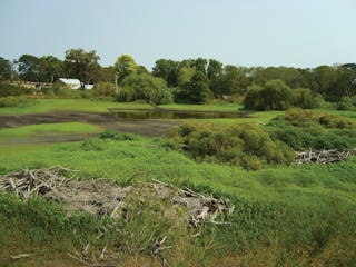 Coolart Wetlands and Homestead