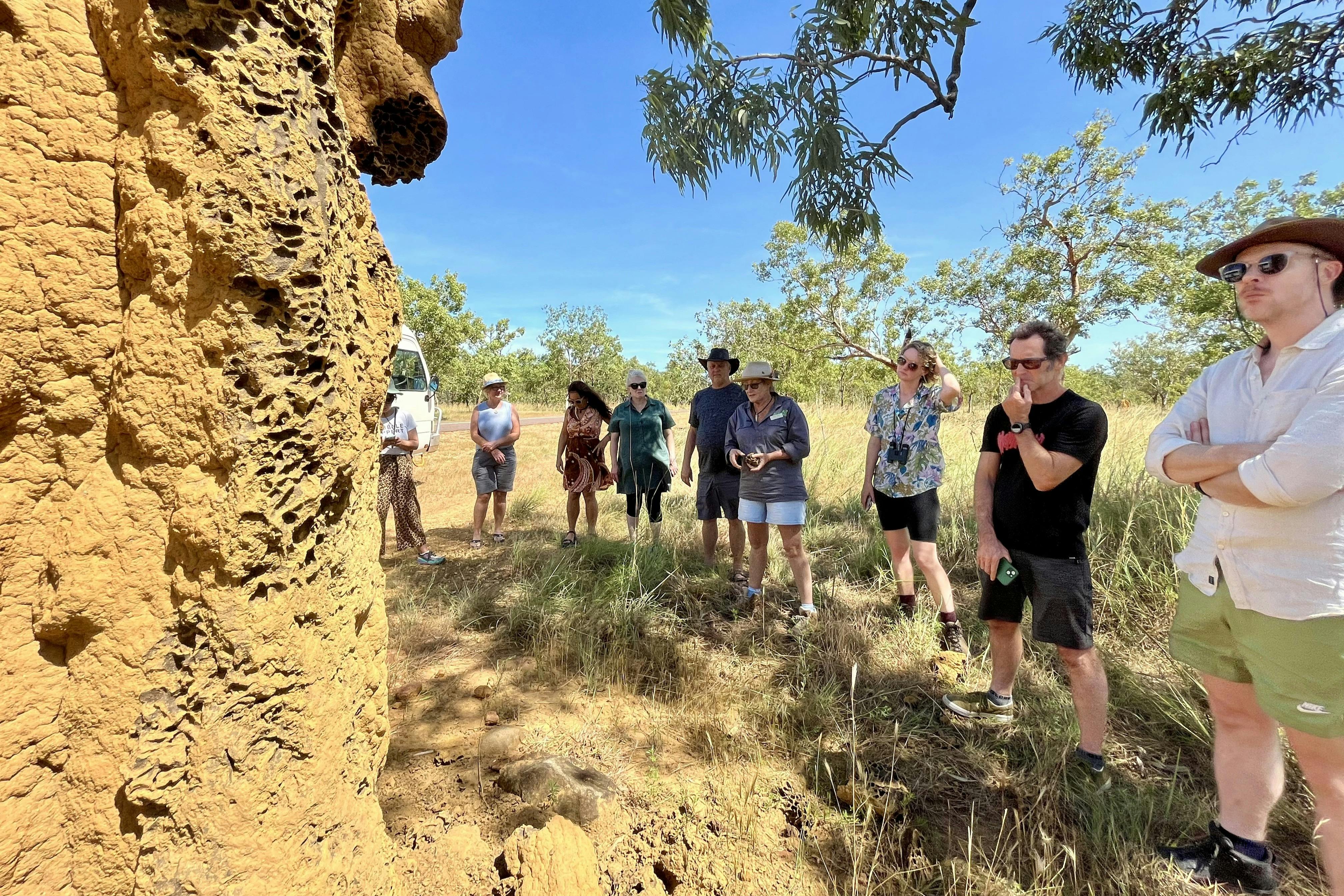 Autopia - Litchfield National Park Termite Mounds