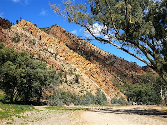 wilpena pound day tours