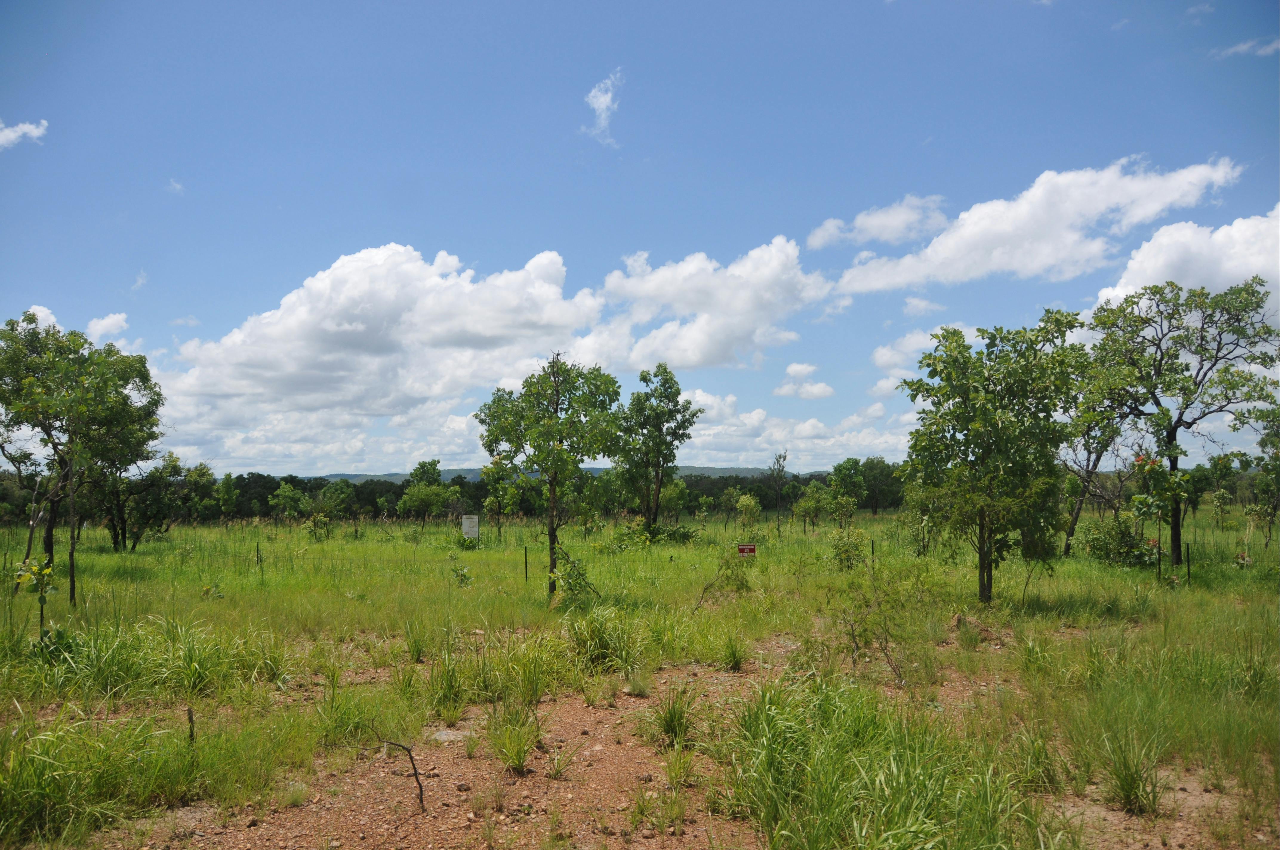 Chinese Temple site in the distance, red sign and interpretative panel that is located on the site.