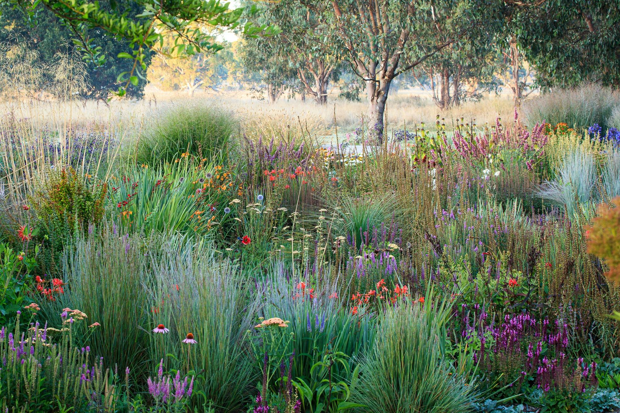 Open Gardens Victoria  - The Barwitian Garden, flowers across the garden