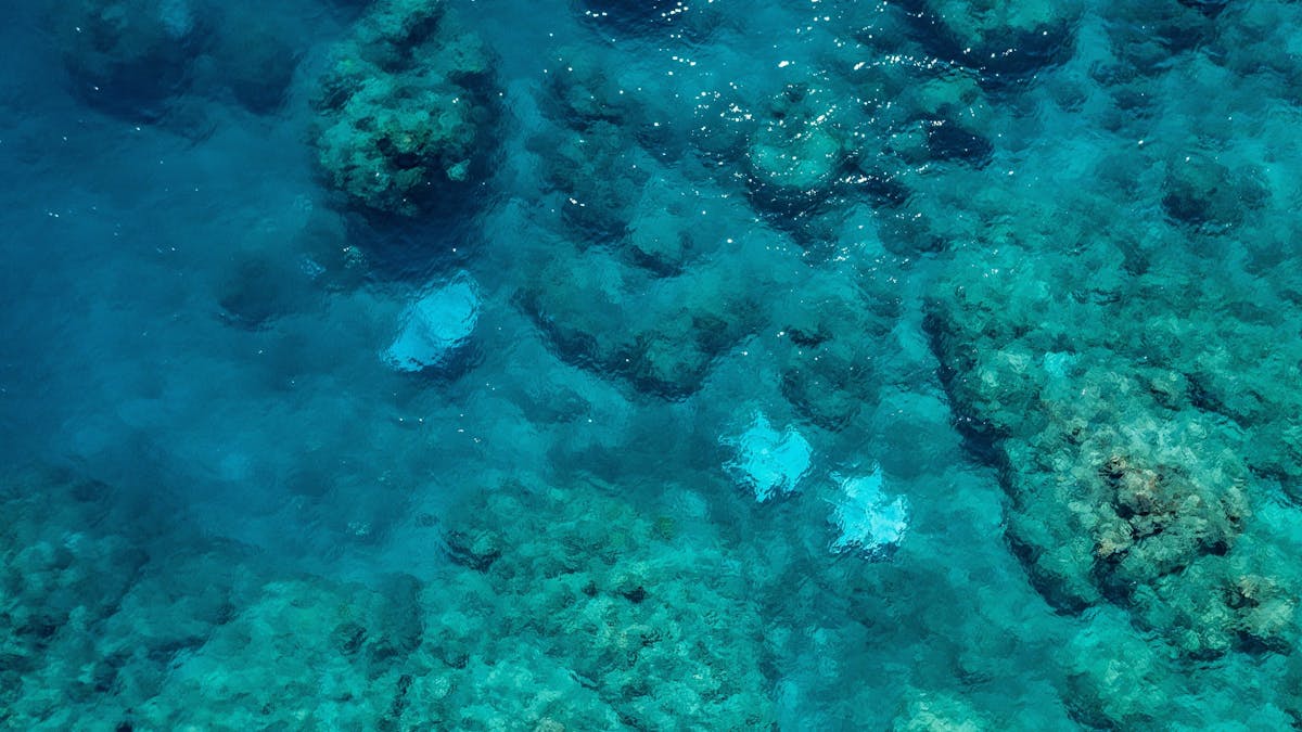 Aerial photo of 3 marine sculptures underwater