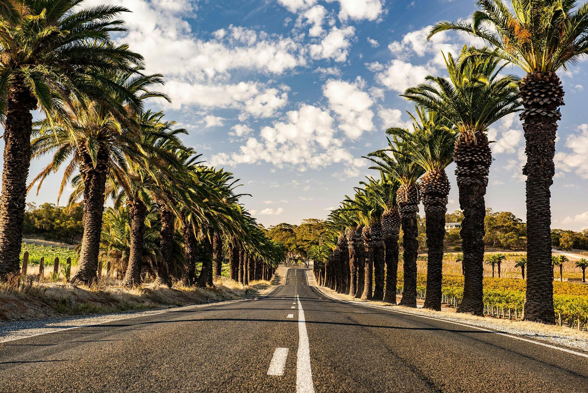 Barossa long weekend festival experience featuring live performances and local venues.