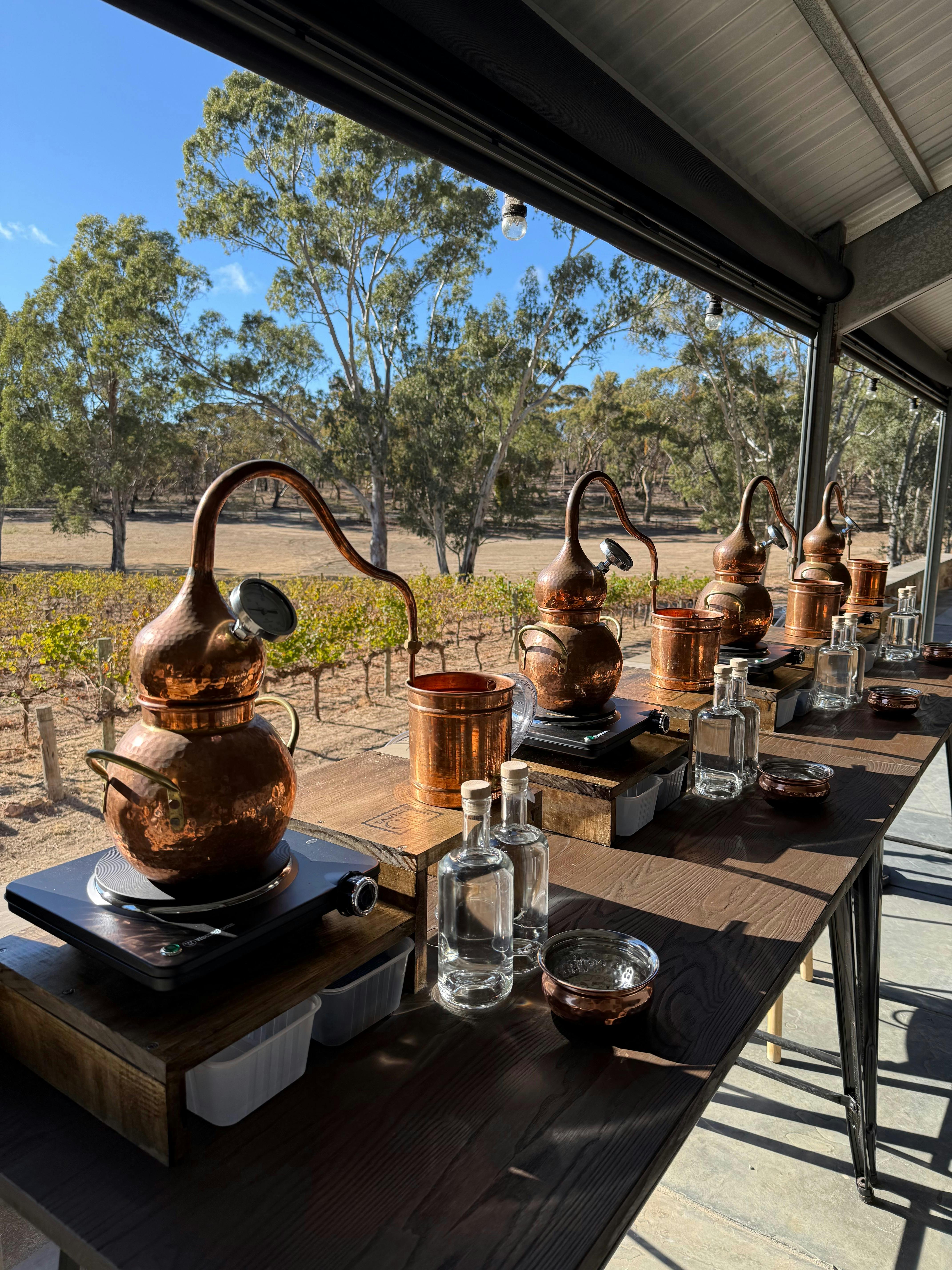 Small copper stills pictured overlooking a vineyard setting