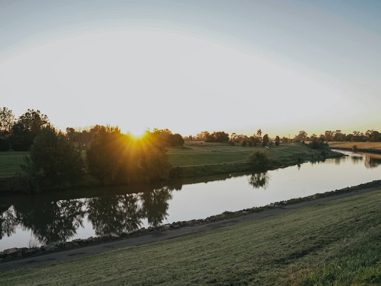 The Levee Riverbank