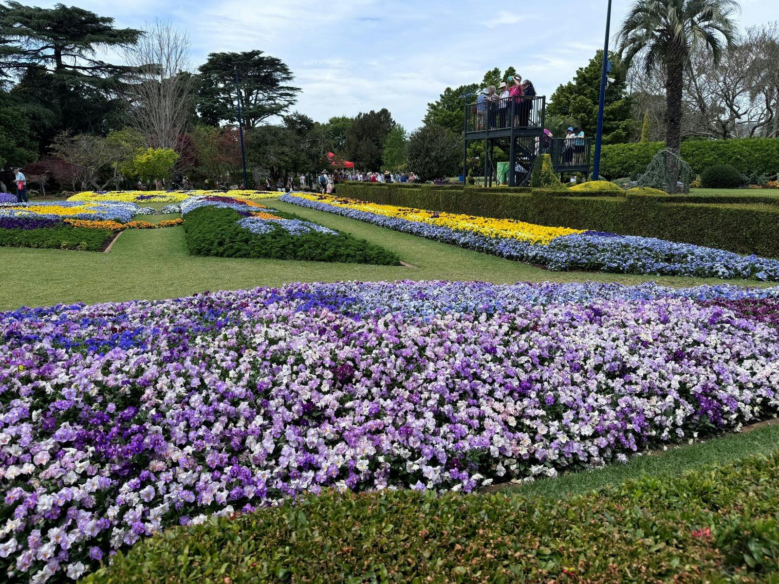 Colourful flower beds - hues of blue, purple, white, orange and yellow