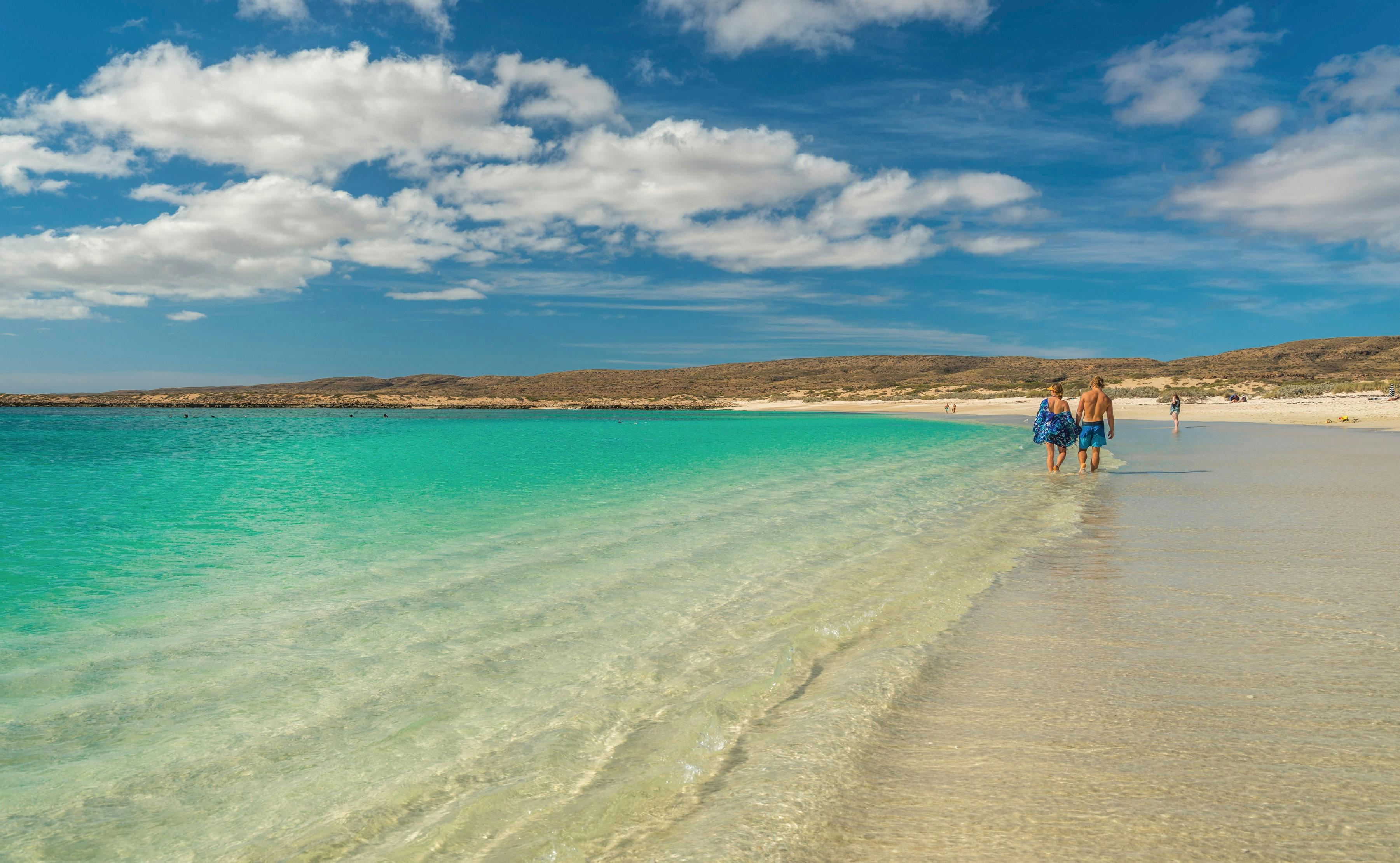 Cape Range Wildflower Trail, Exmouth, Western Australia