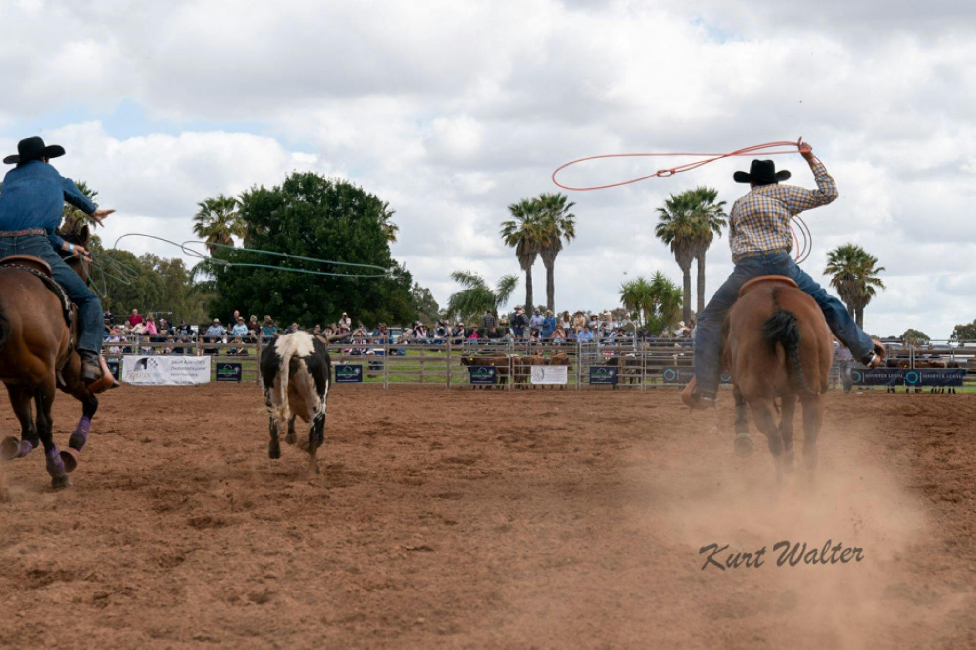 BAROSSA TIMED EVENT RODEO