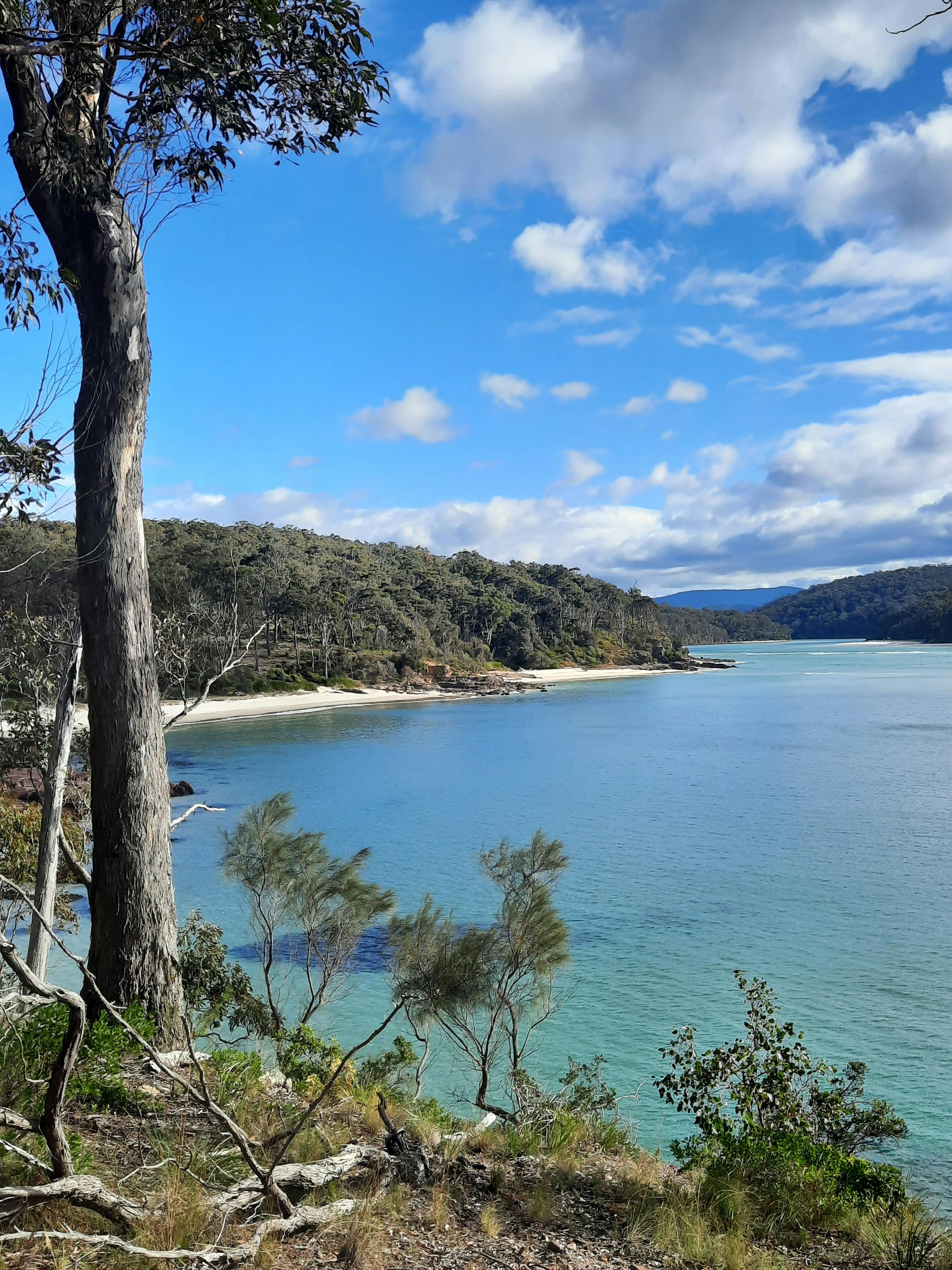 만 너머의 전망