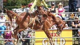 Jindabyne Rodeo