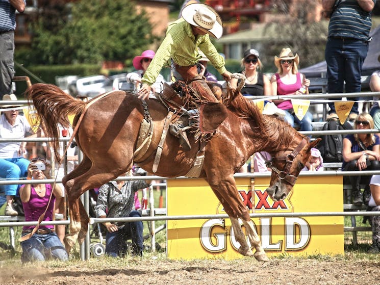 Jindabyne Rodeo