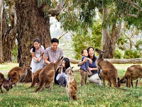 Culture Quest Tours