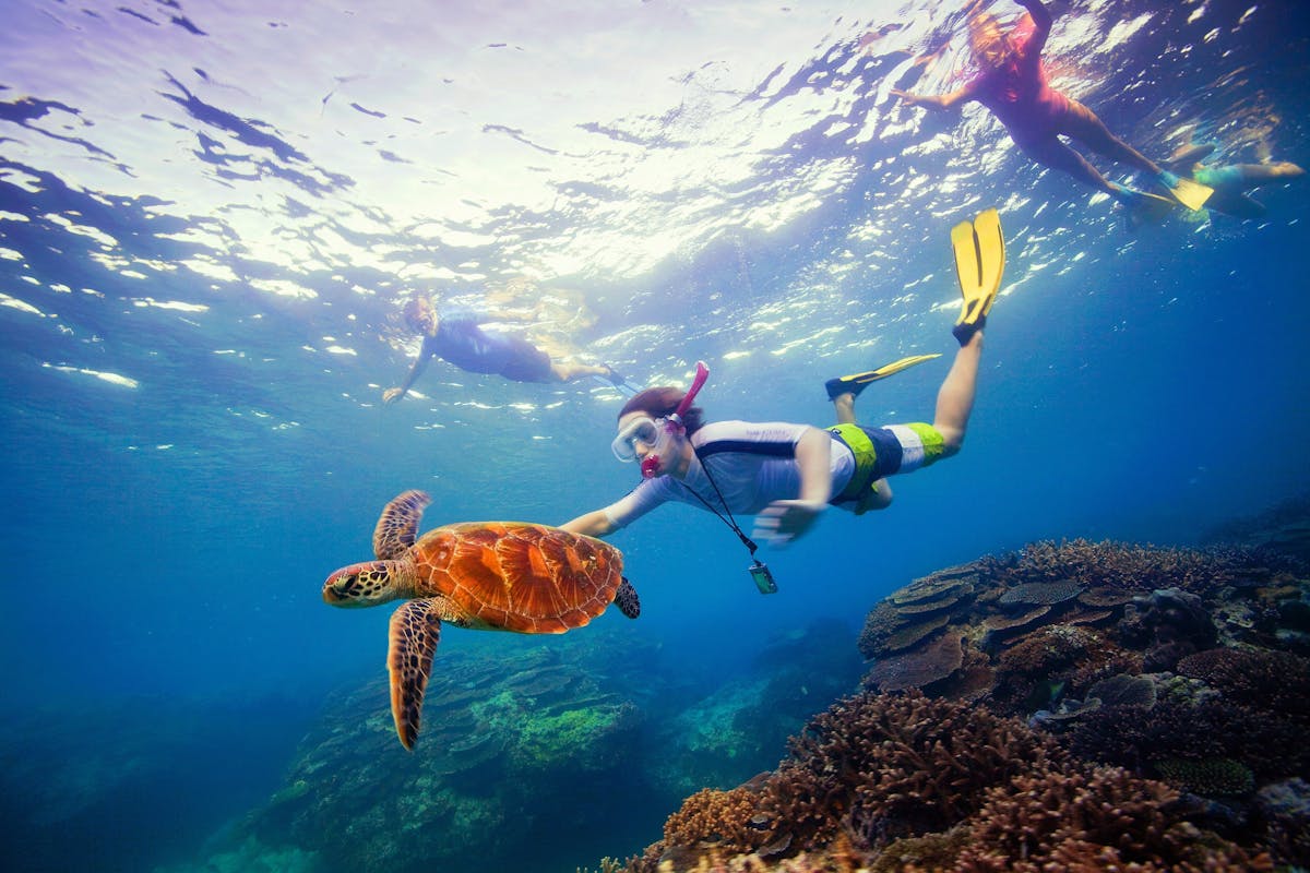 The Great Barrier Reef is just off the coast of Cairns.